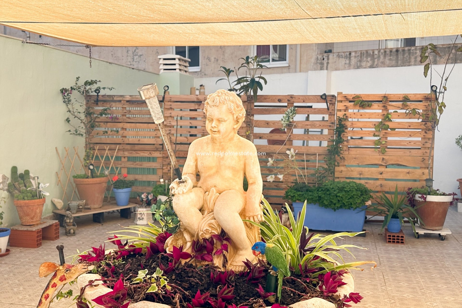 Återförsäljning - Lägenheter -
Torrevieja