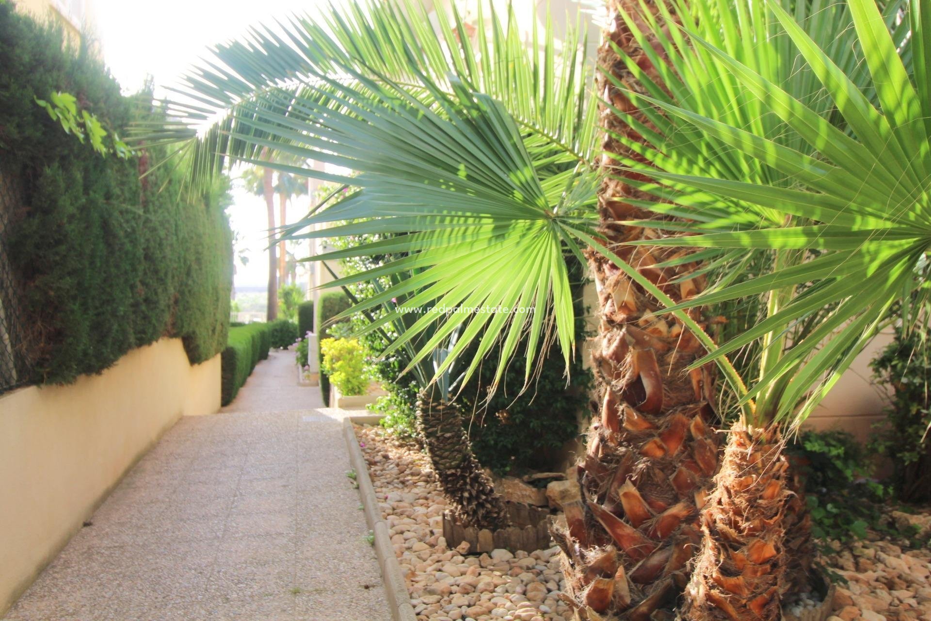 Återförsäljning - Lägenheter -
Torrevieja