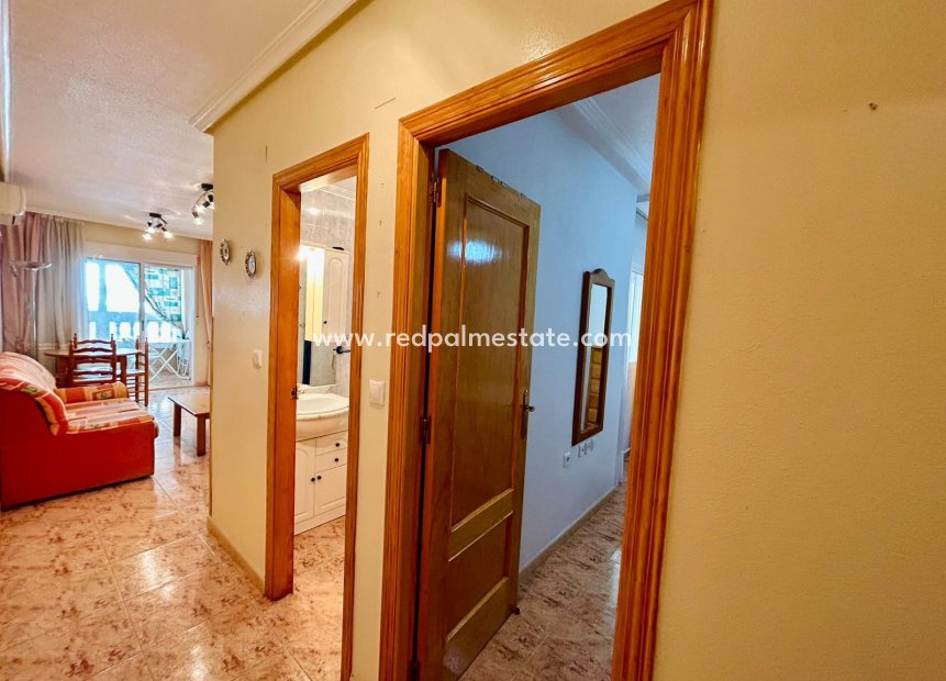 Återförsäljning - Lägenheter -
Torrevieja