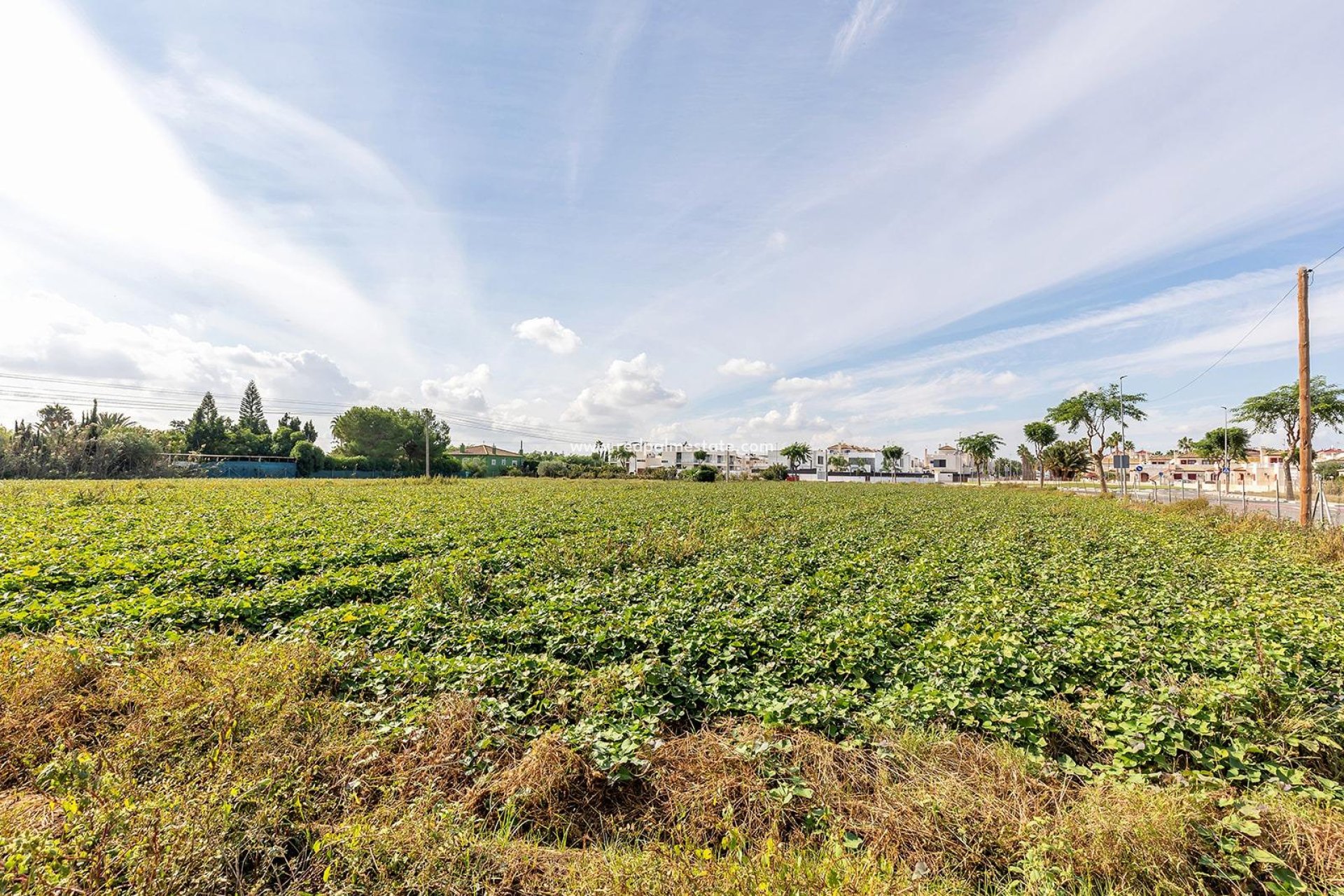 Återförsäljning - Radhus -
Daya Vieja - Huerta