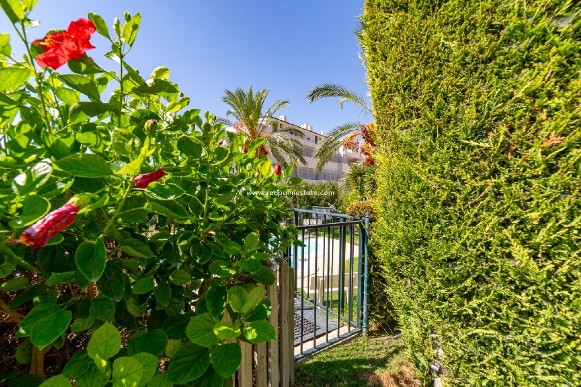 Återförsäljning - Radhus -
Finestrat