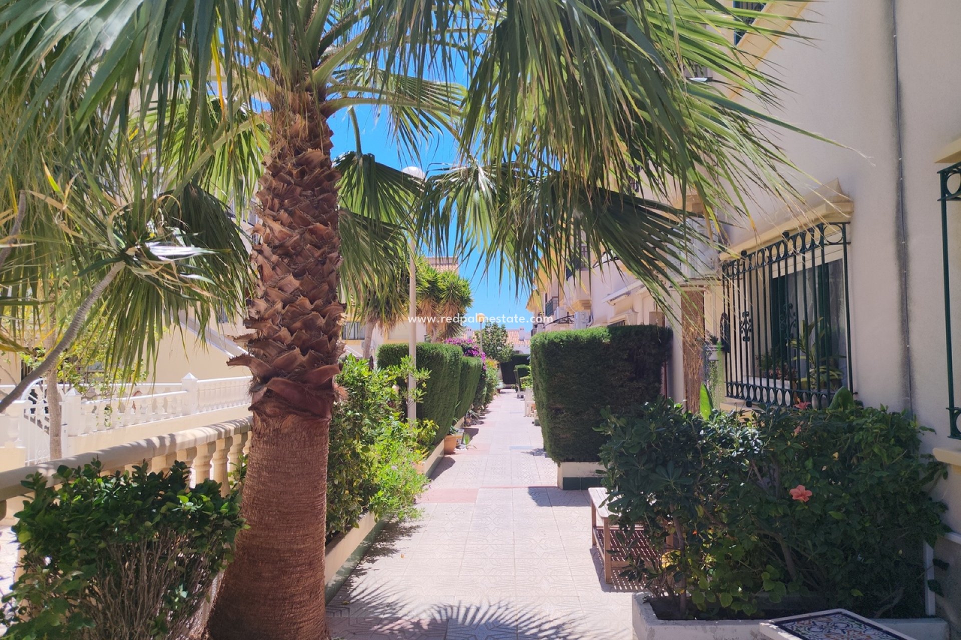 Återförsäljning - Radhus -
Orihuela Costa - La Zenia