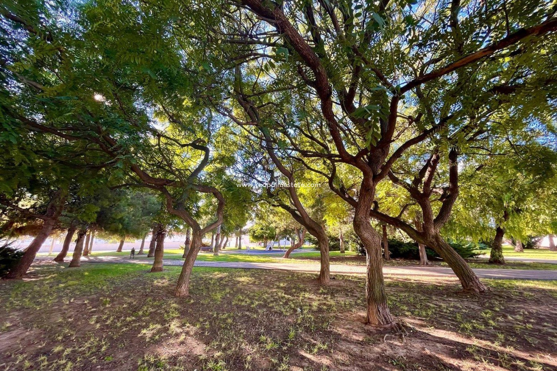 Återförsäljning - Radhus -
Torrevieja - Calas blanca