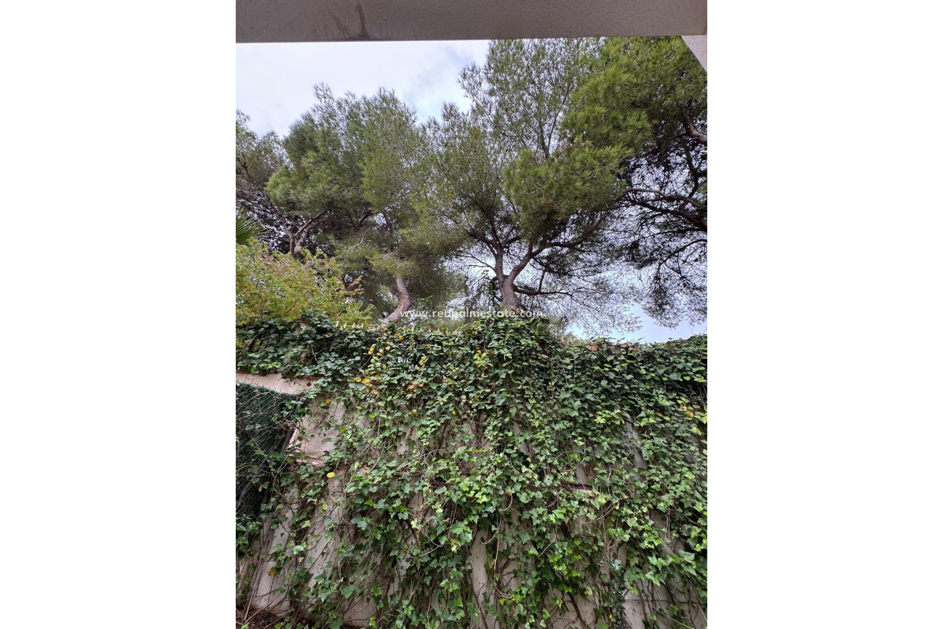 Återförsäljning - Radhus -
Torrevieja - Punta prima