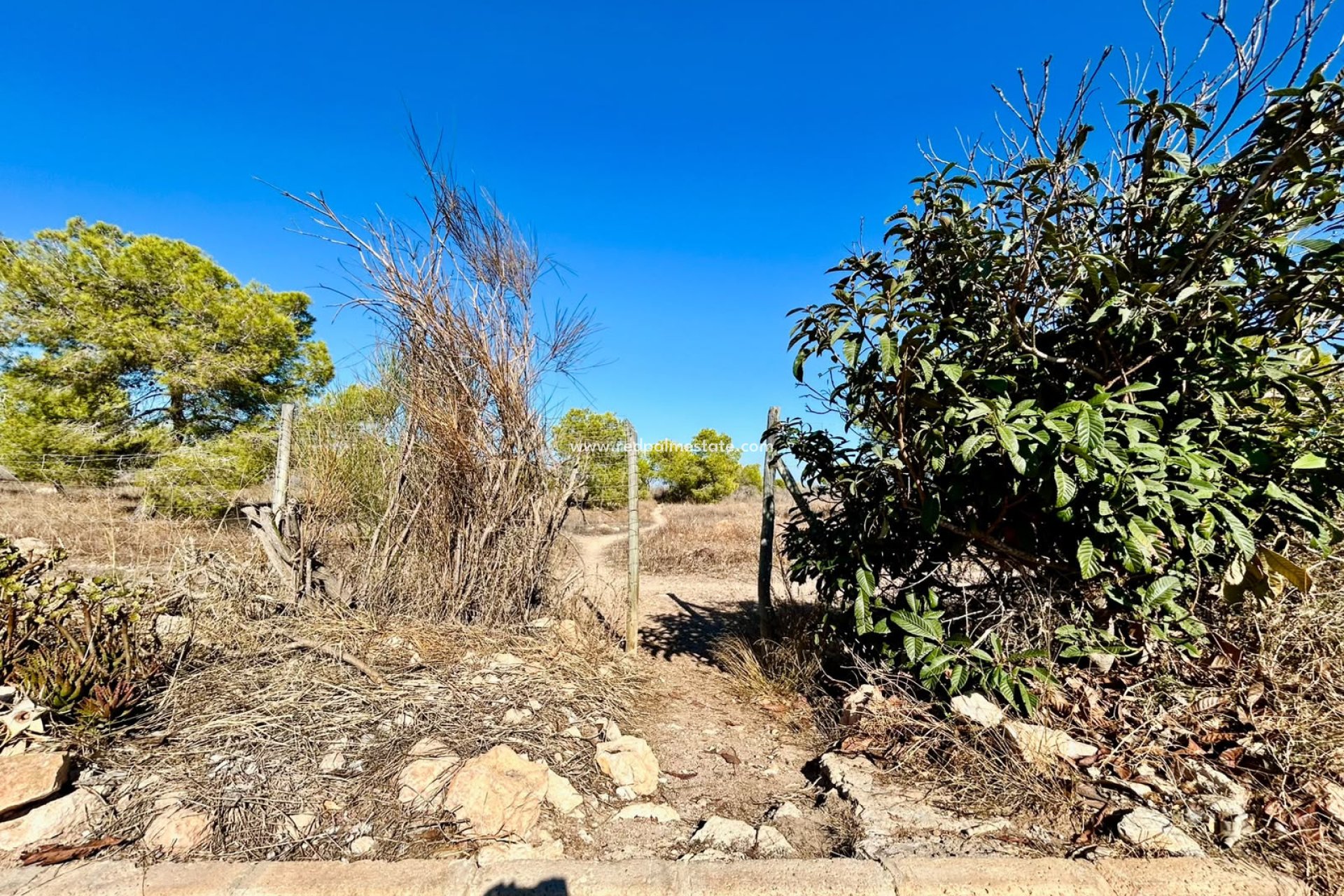 Återförsäljning - Radhus -
Torrevieja
