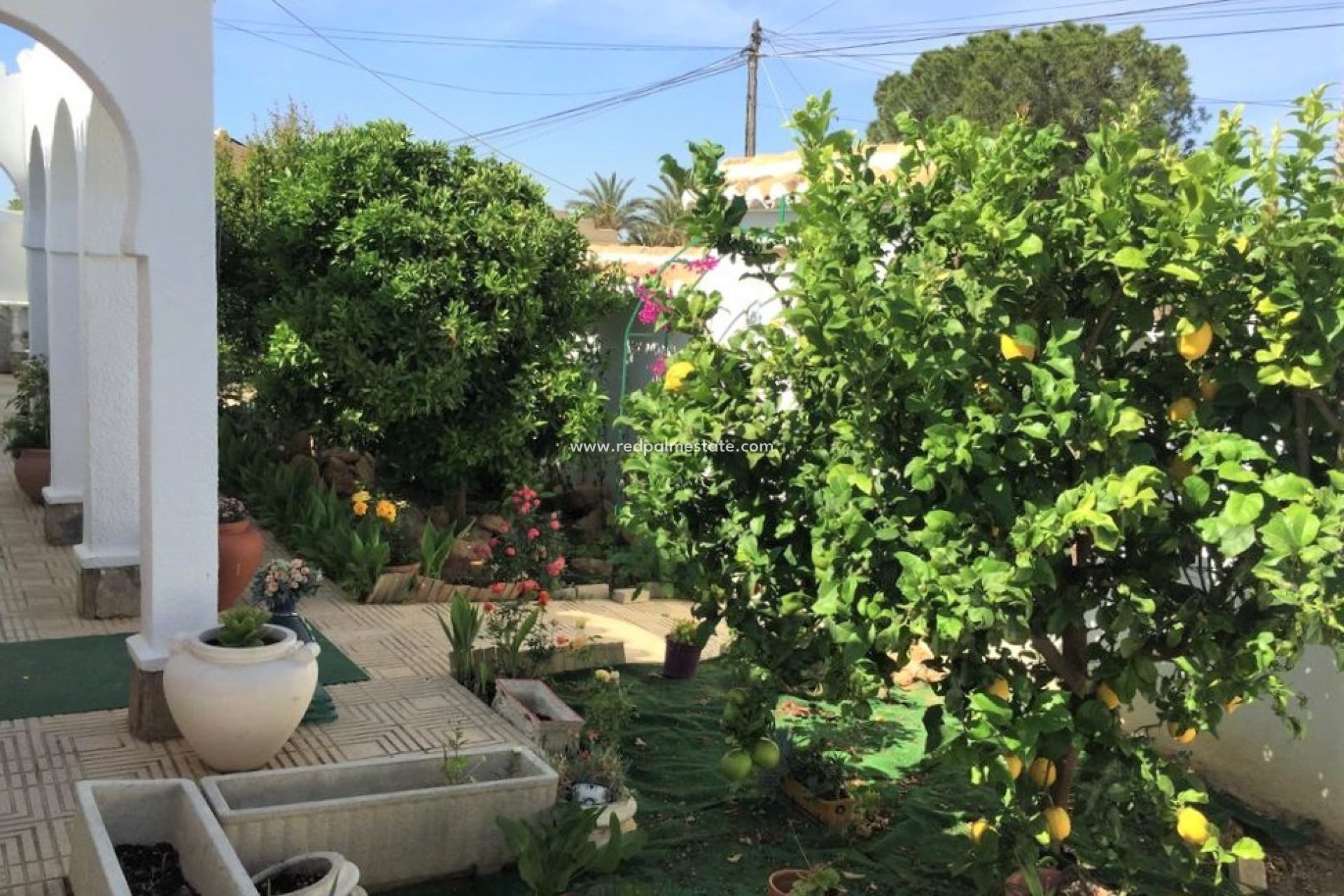 Återförsäljning - Radhus -
Torrevieja