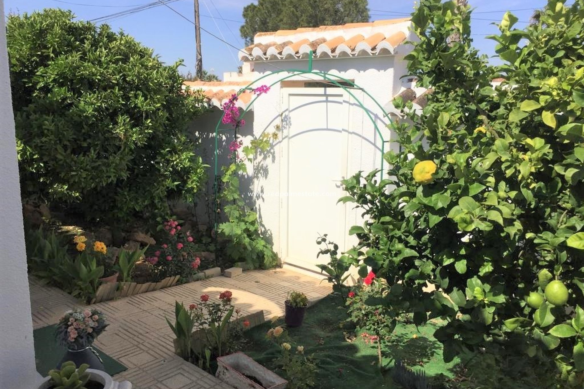 Återförsäljning - Radhus -
Torrevieja