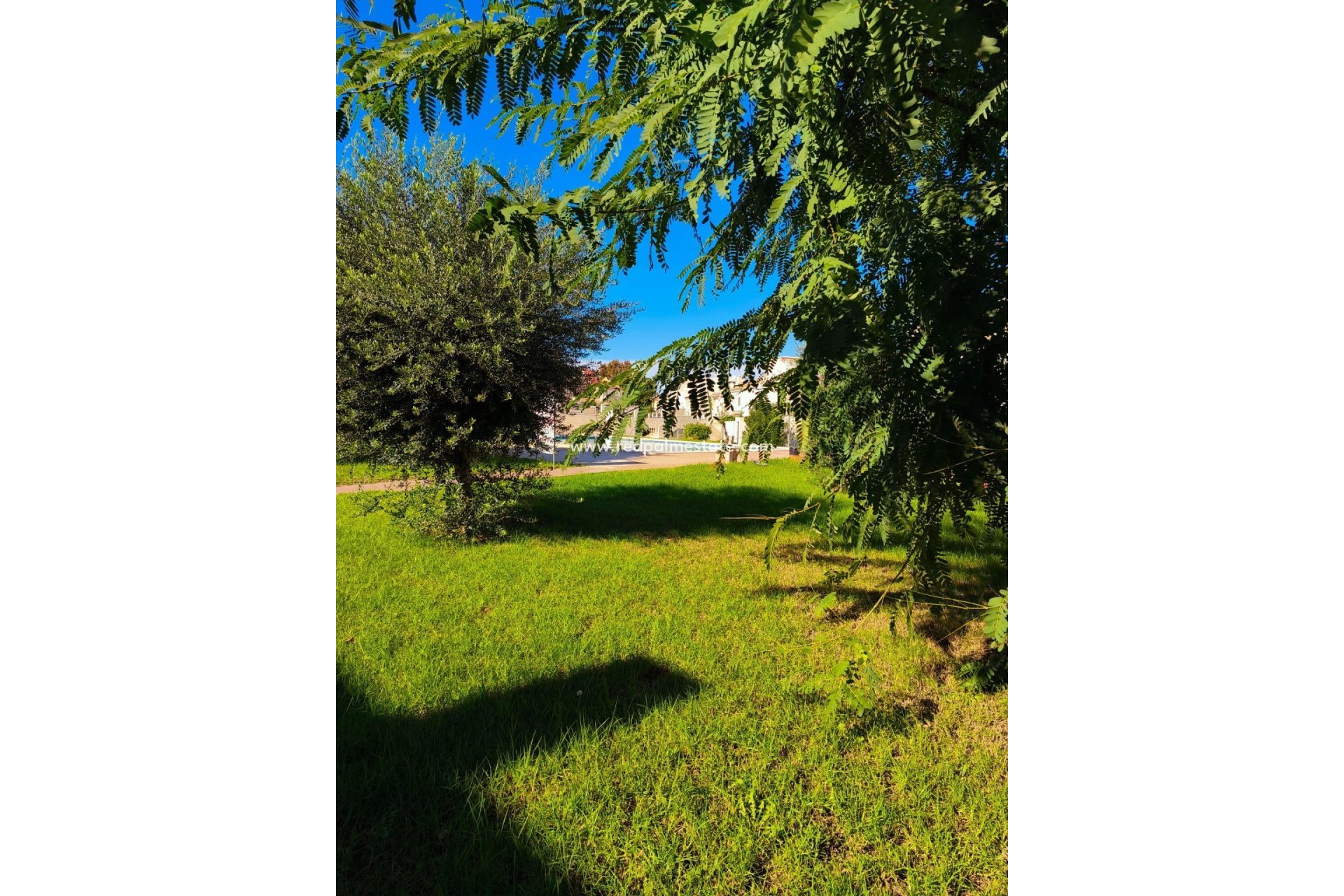 Återförsäljning - Radhus -
Torrevieja