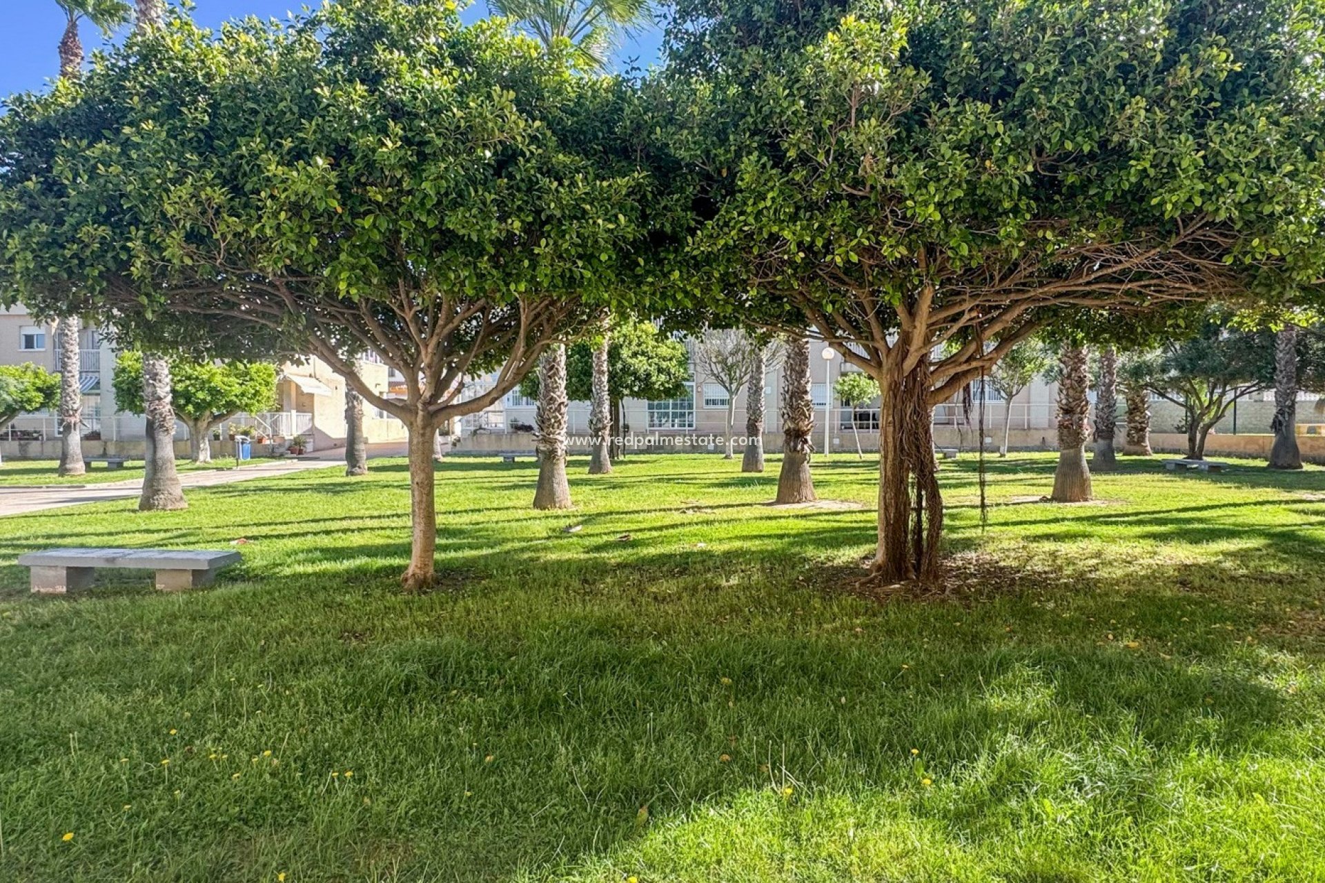 Återförsäljning - Radhus -
Torrevieja