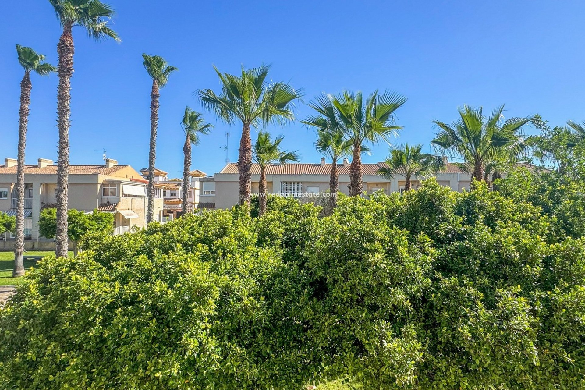 Återförsäljning - Radhus -
Torrevieja