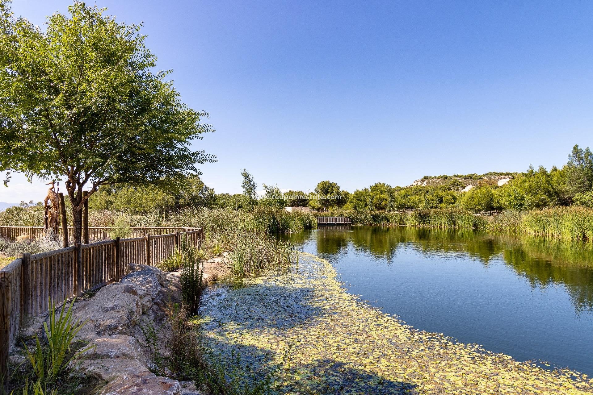 Återförsäljning - Stadshus -
Ciudad Quesada - Altos Del Golf Ii