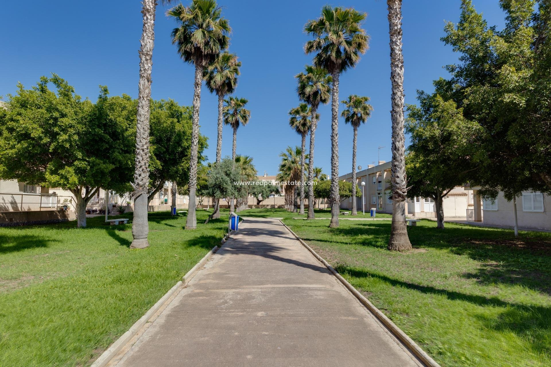 Återförsäljning - Stadshus -
Torrevieja - Aguas Nuevas 2