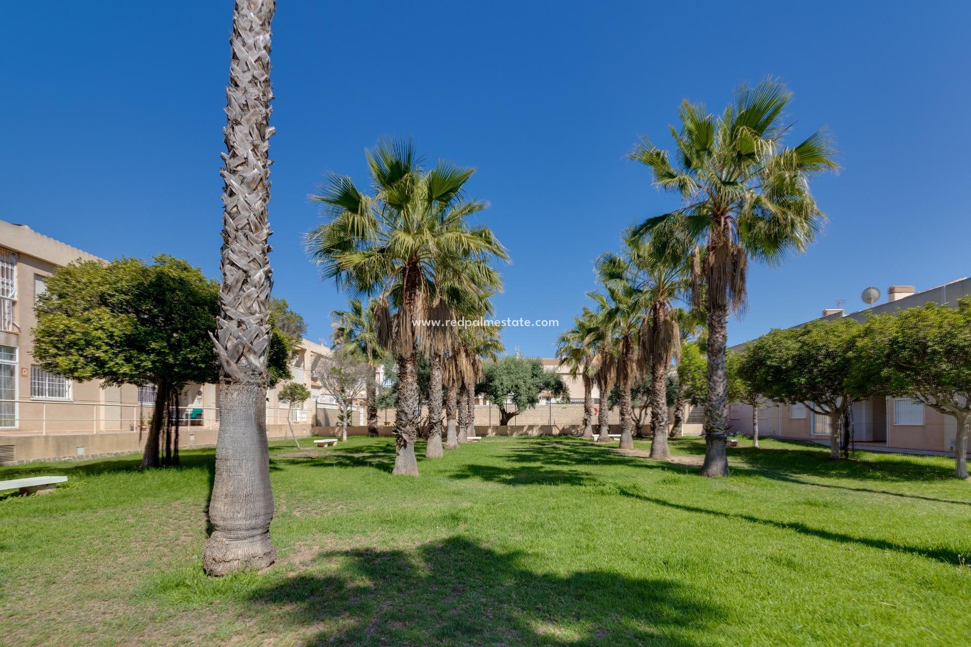 Återförsäljning - Stadshus -
Torrevieja - Aguas Nuevas 2