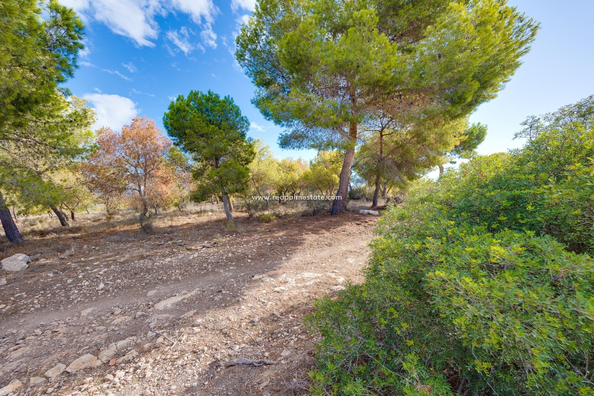 Återförsäljning - Stadshus -
Torrevieja - La Siesta - El Salado -  Torreta