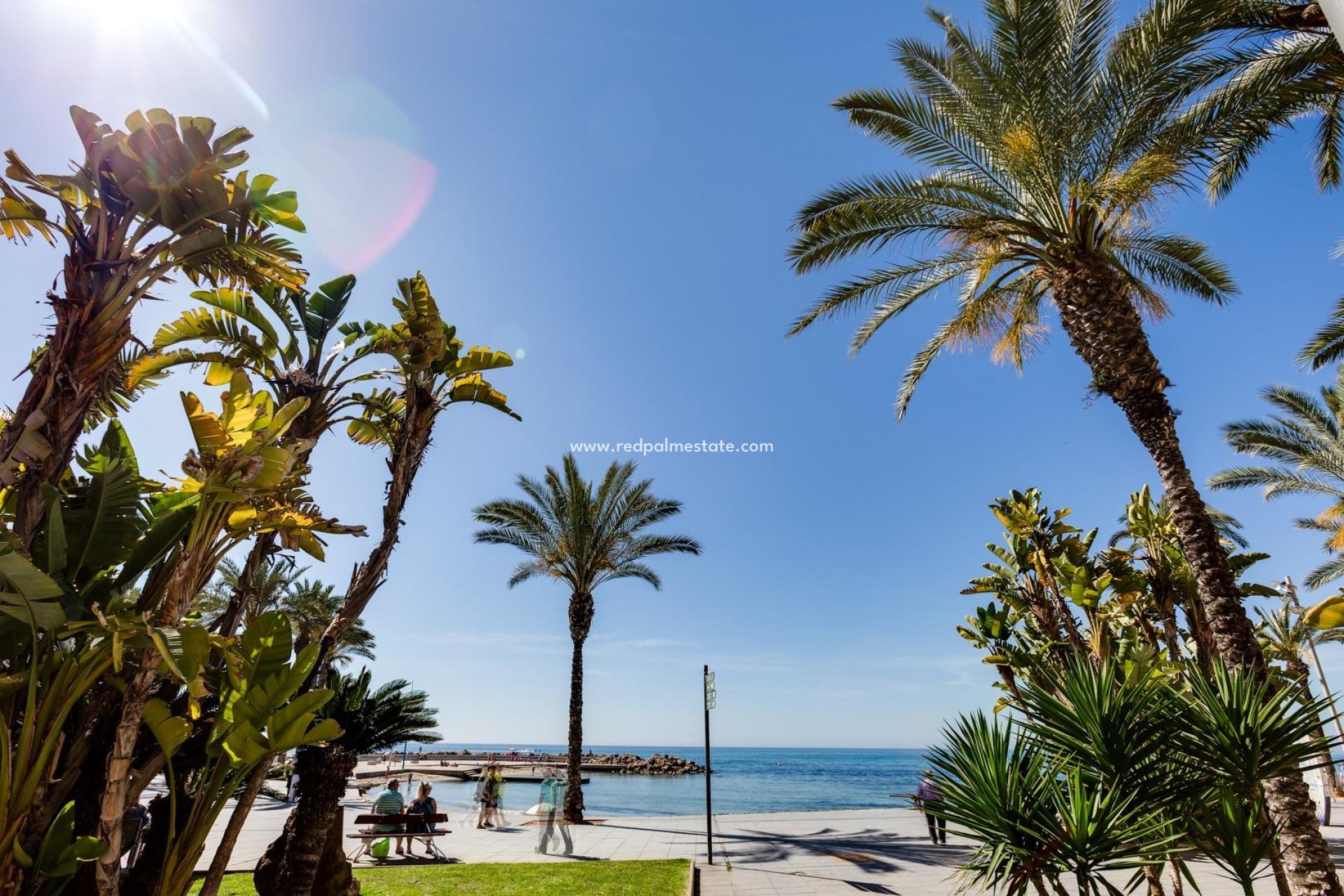 Återförsäljning - Stadshus -
Torrevieja - Parque las naciones