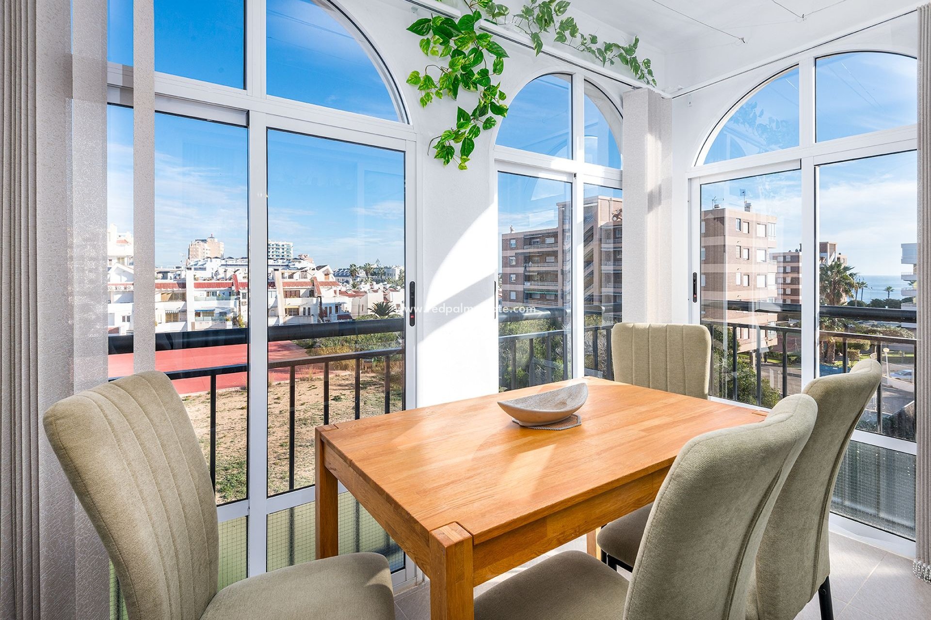 Återförsäljning - Studio Apartment -
Torrevieja