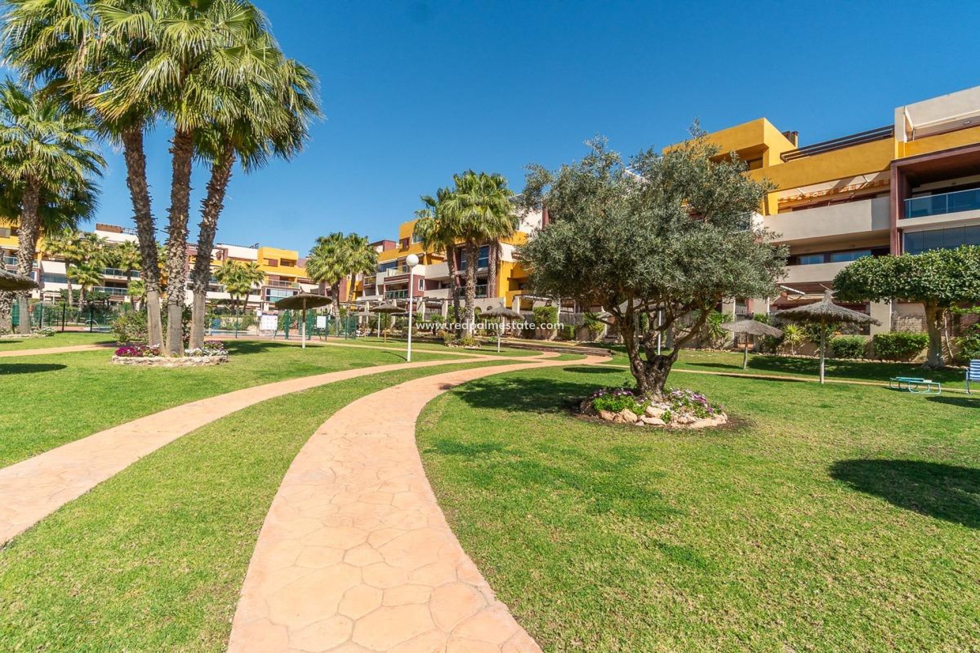 Återförsäljning - Takvåning -
Orihuela Costa - Playa Flamenca