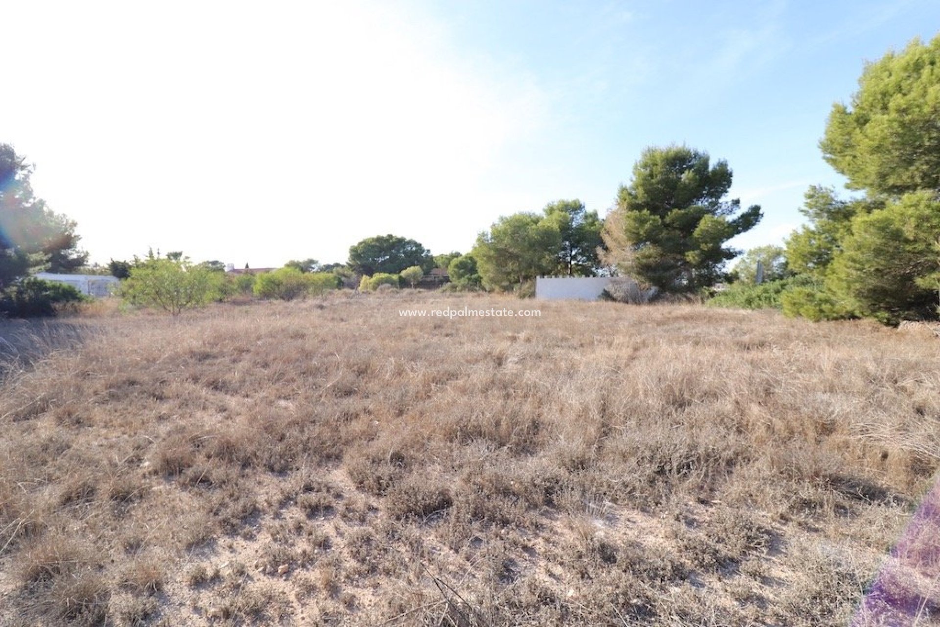 Återförsäljning - Tomt -
Orihuela Costa - Lomas de Cabo Roig