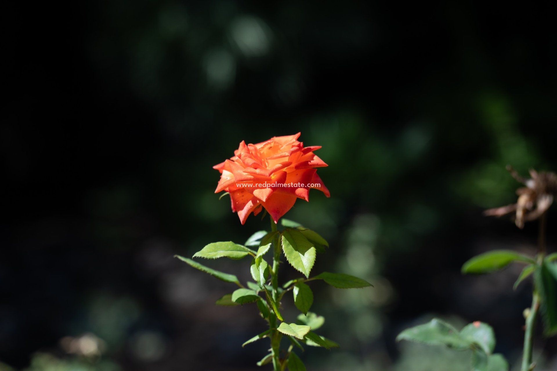 Återförsäljning - Villa -
Alcoy - Inland