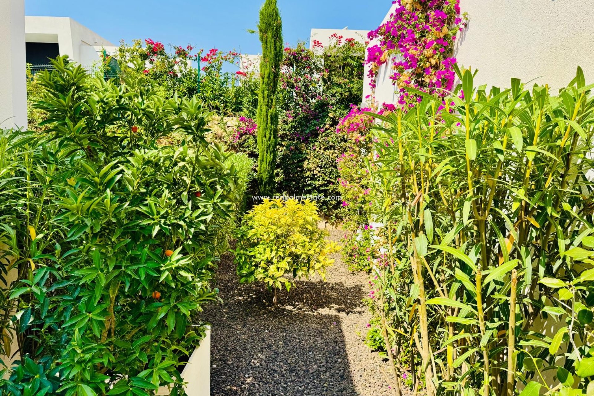 Återförsäljning - Villa -
Algorfa - La Finca Golf