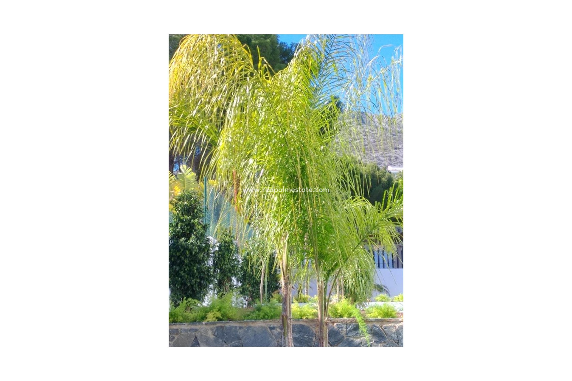 Återförsäljning - Villa -
Altea