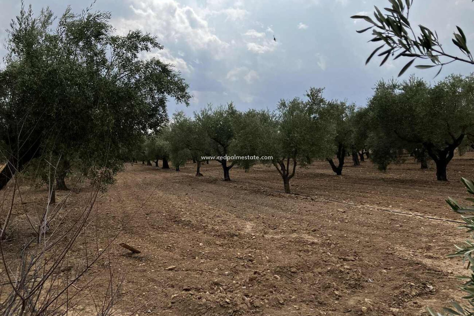 Återförsäljning - Villa -
Biar - Costa Blanca