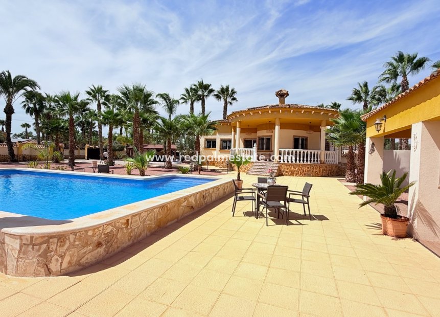 Återförsäljning - Villa -
Catral - Costa Blanca