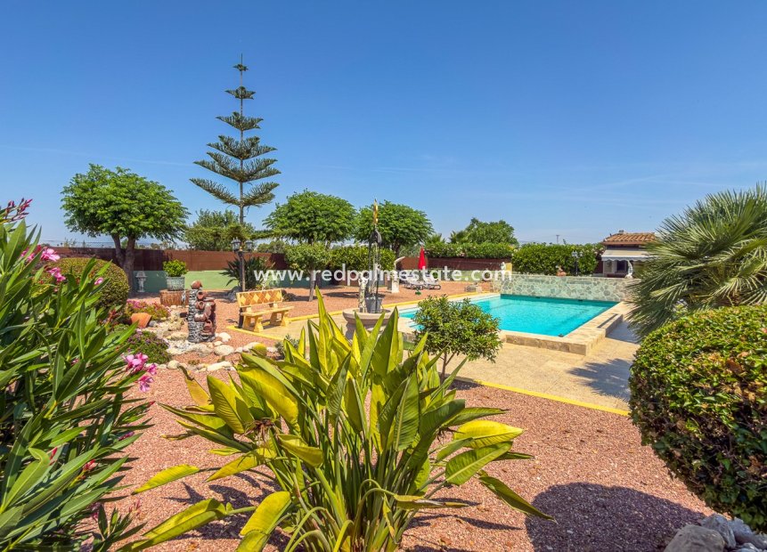 Återförsäljning - Villa -
Catral - Costa Blanca