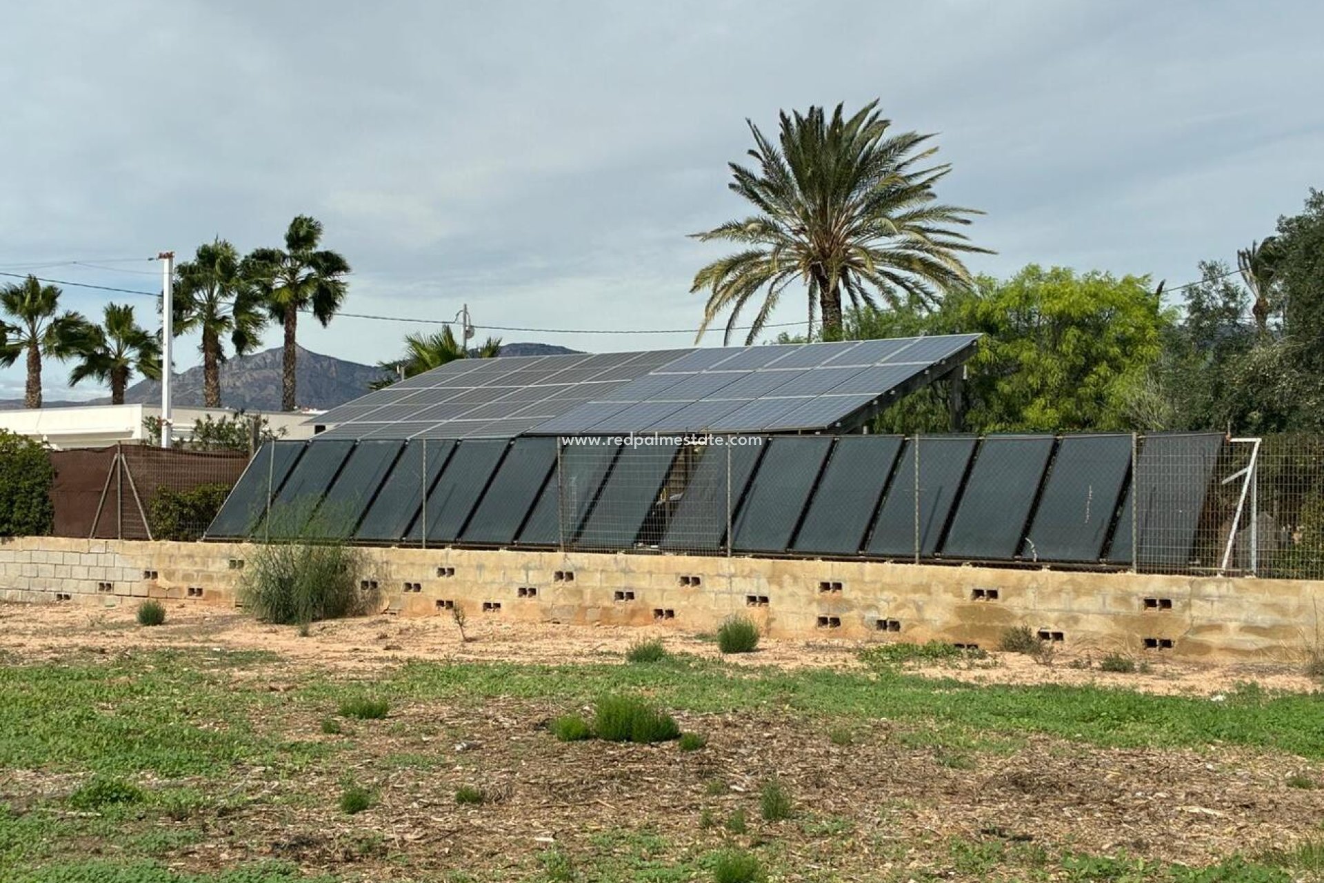 Återförsäljning - Villa -
Crevillente - Costa Blanca