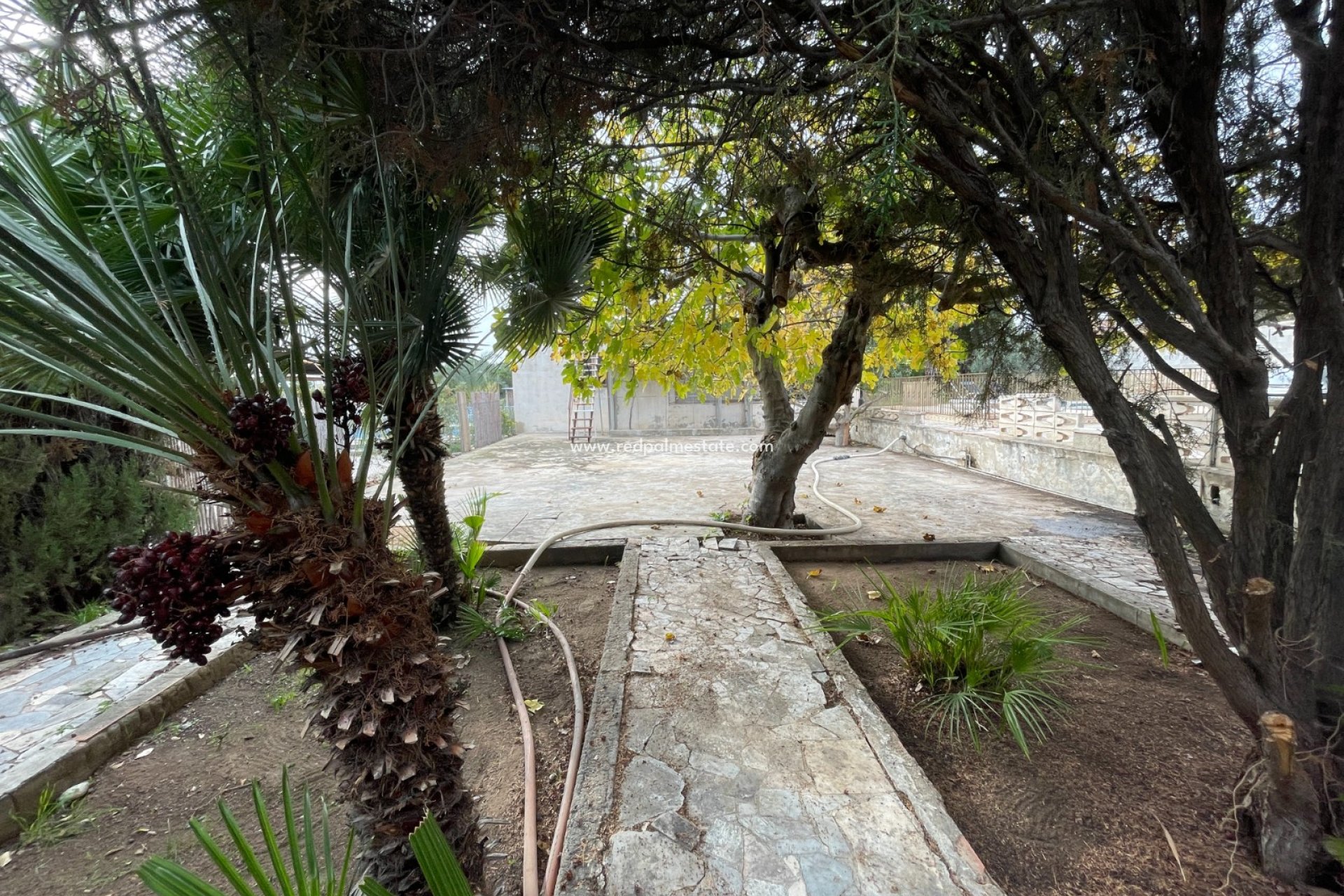 Återförsäljning - Villa -
Elche - Costa Blanca