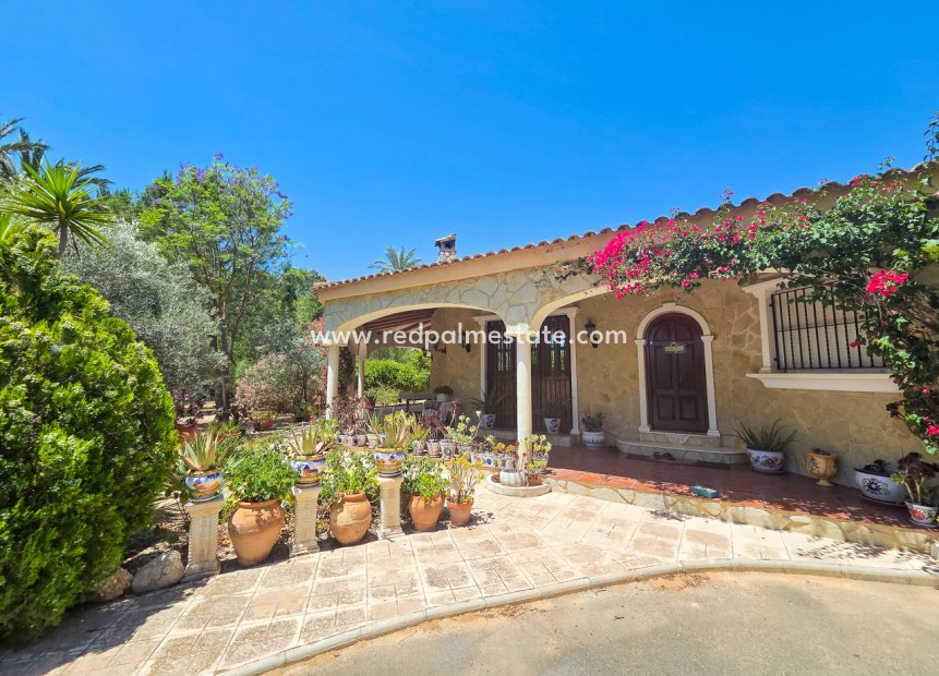 Återförsäljning - Villa -
Elche - Costa Blanca