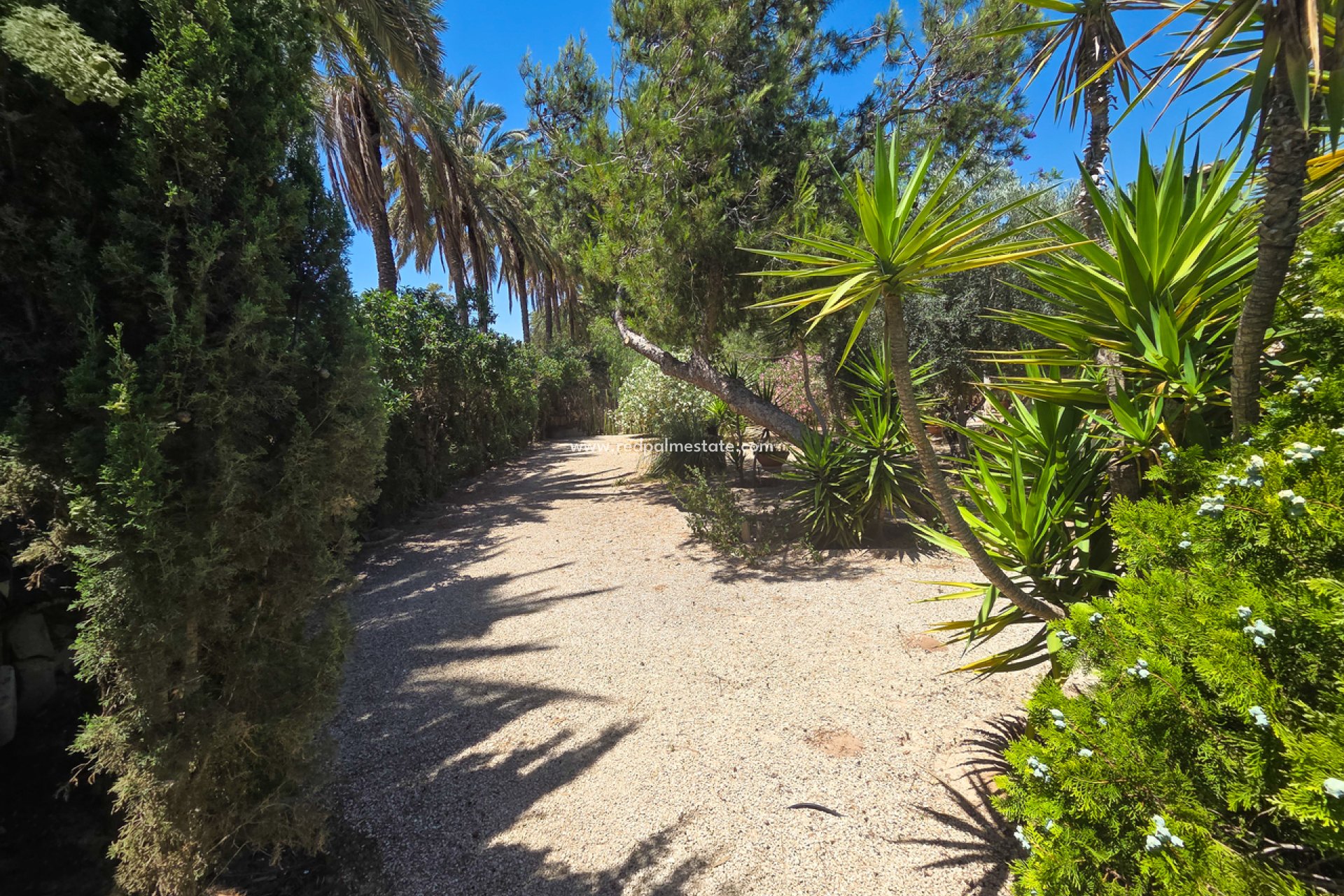 Återförsäljning - Villa -
Elche - Costa Blanca