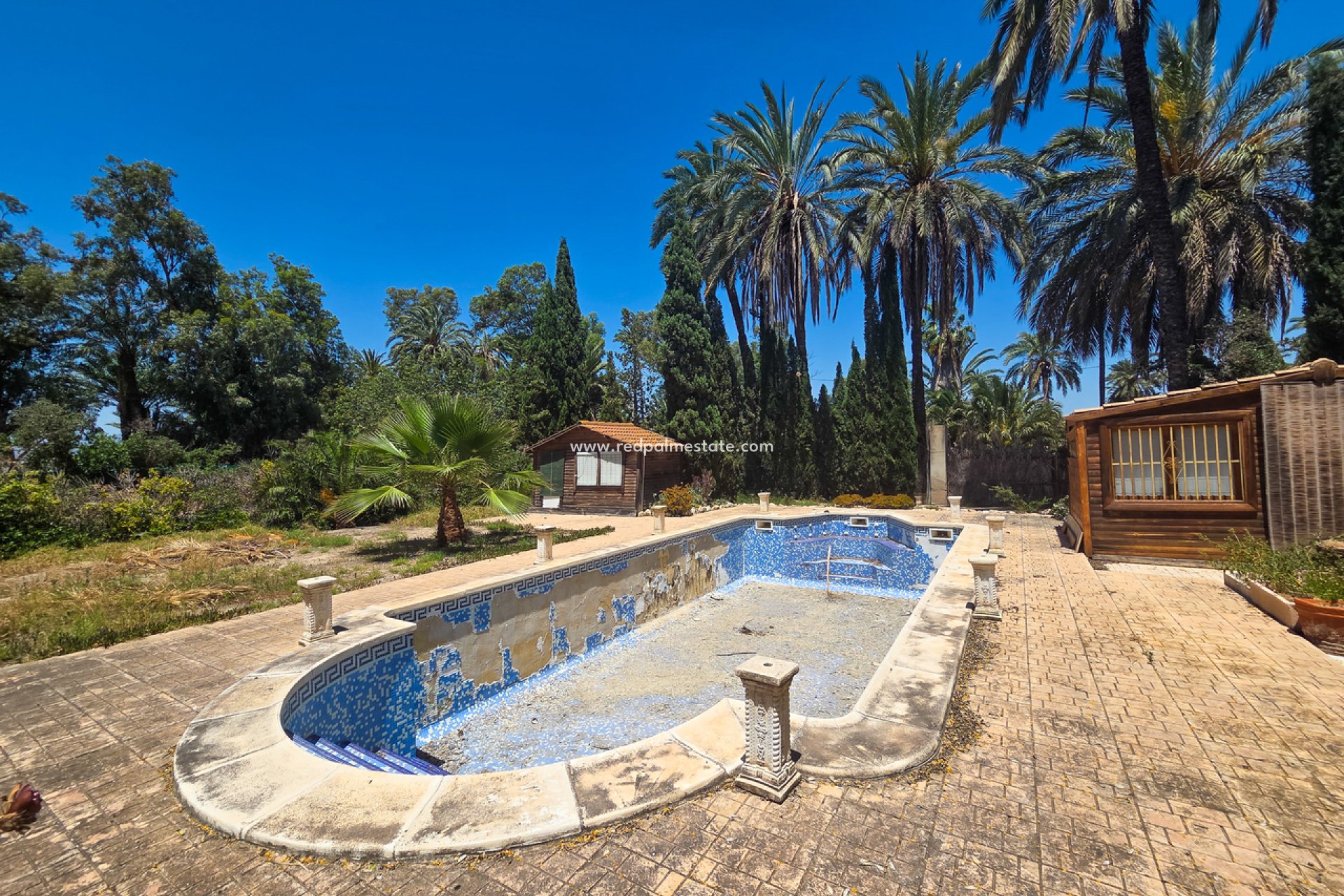 Återförsäljning - Villa -
Elche - Costa Blanca