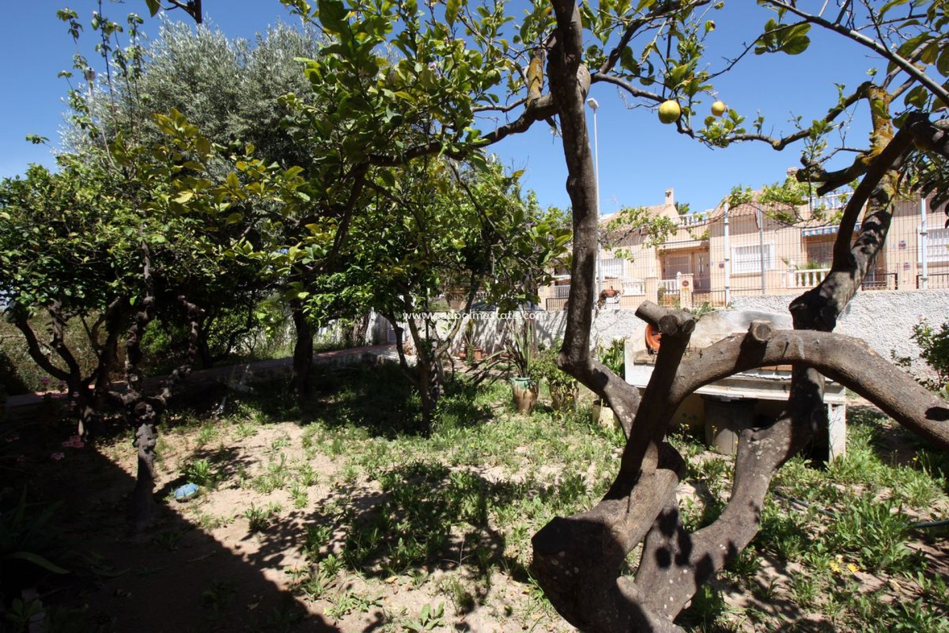 Återförsäljning - Villa -
Guardamar del Segura - Costa Blanca