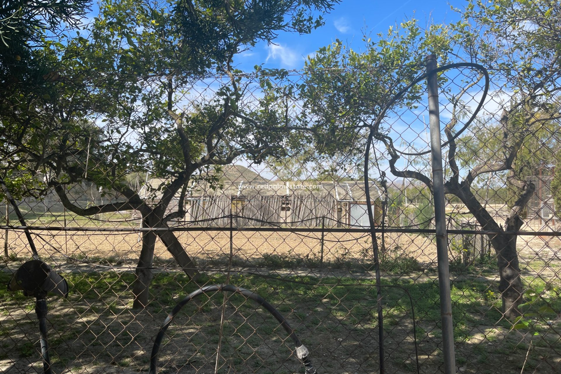 Återförsäljning - Villa -
Guardamar del Segura - Guardamar