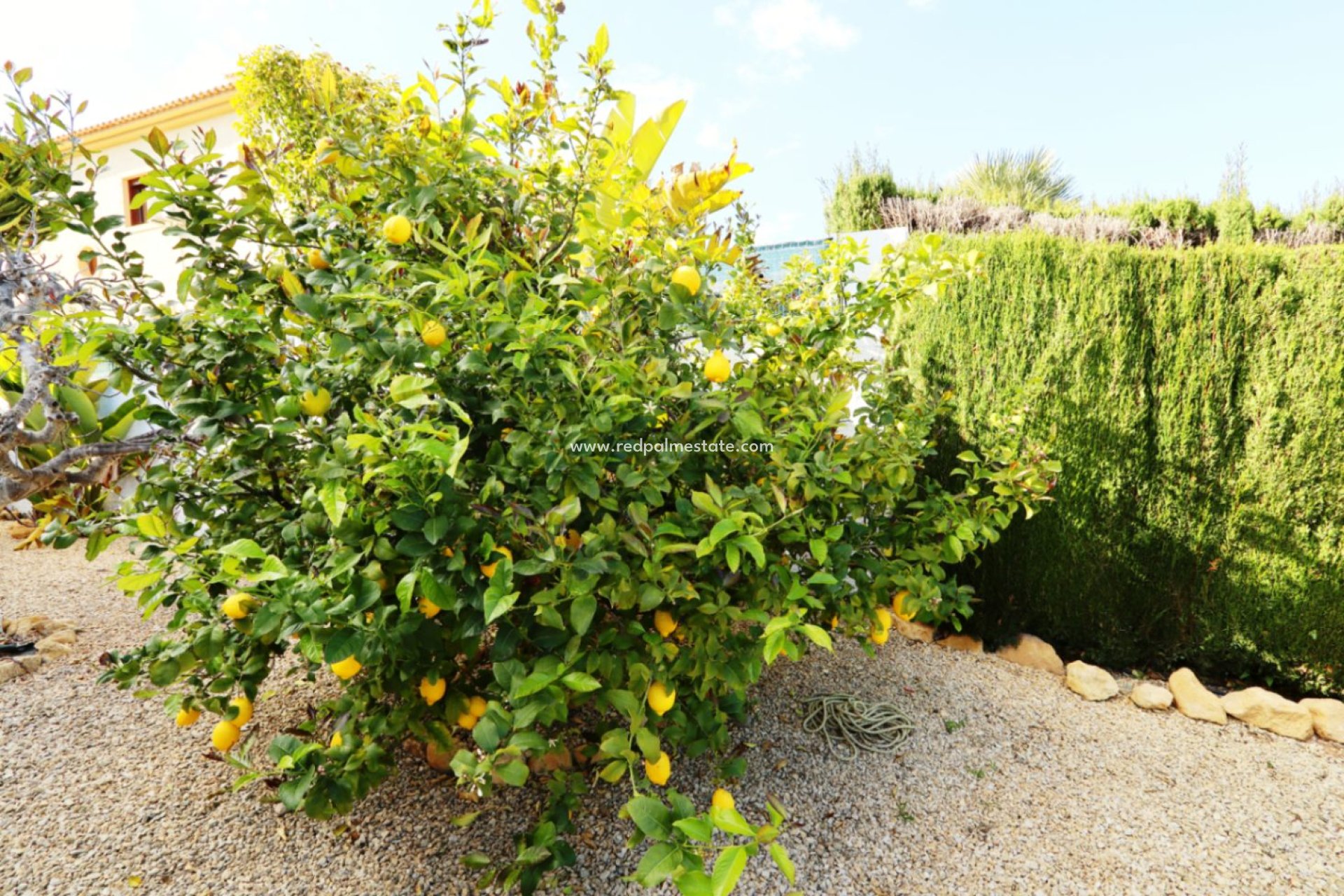 Återförsäljning - Villa -
La Nucía