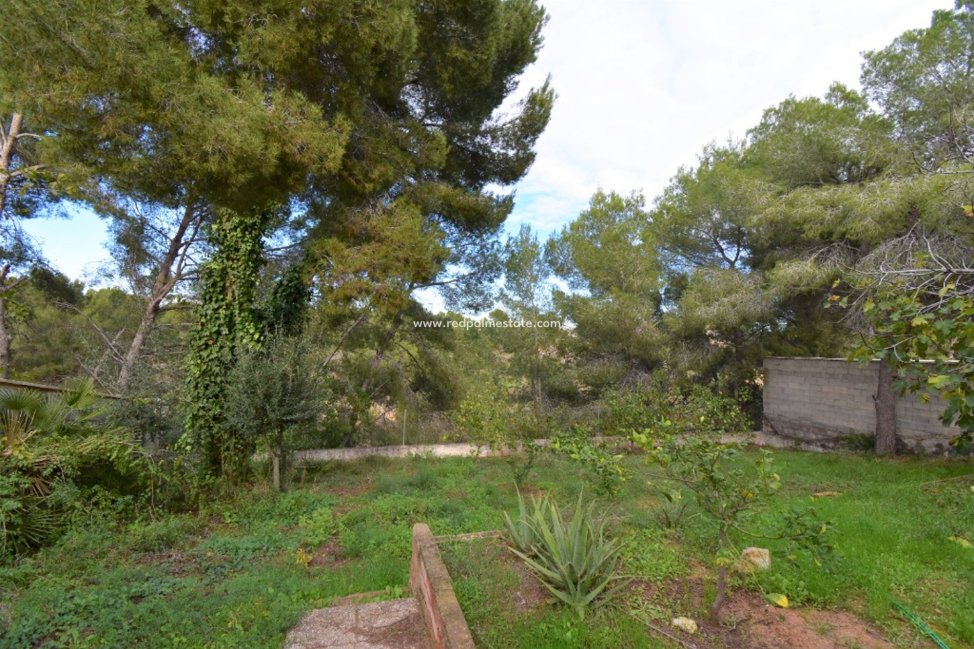 Återförsäljning - Villa -
Pinar de Campoverde