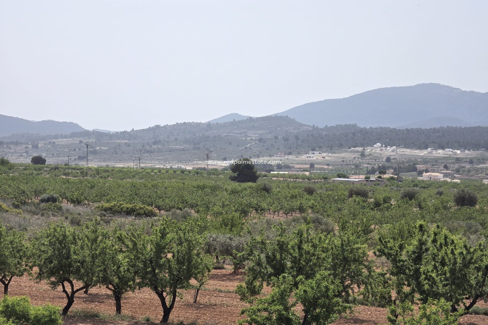 Återförsäljning - Villa -
Pinoso - Inland