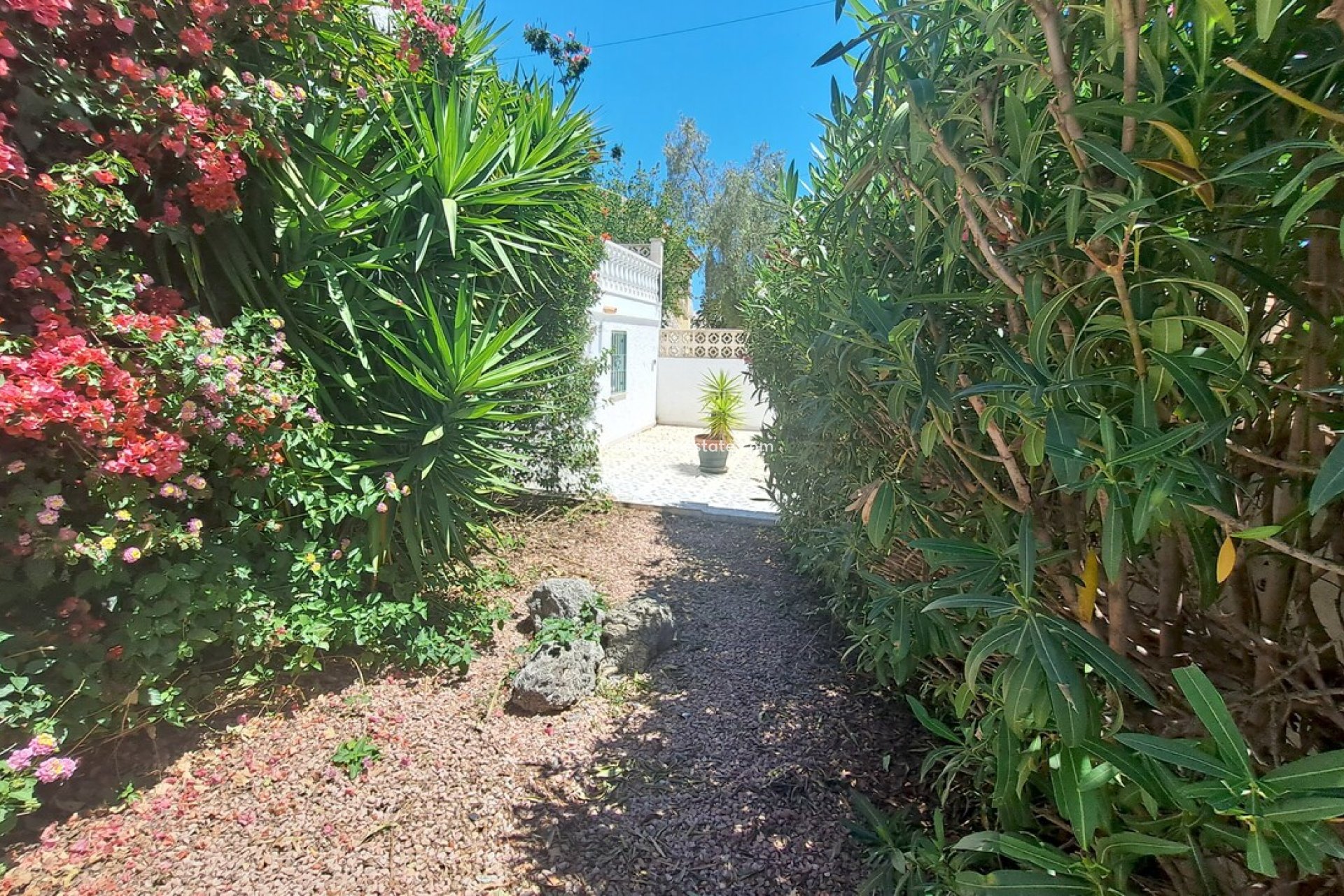 Återförsäljning - Villa -
San Miguel de Salinas - Inland