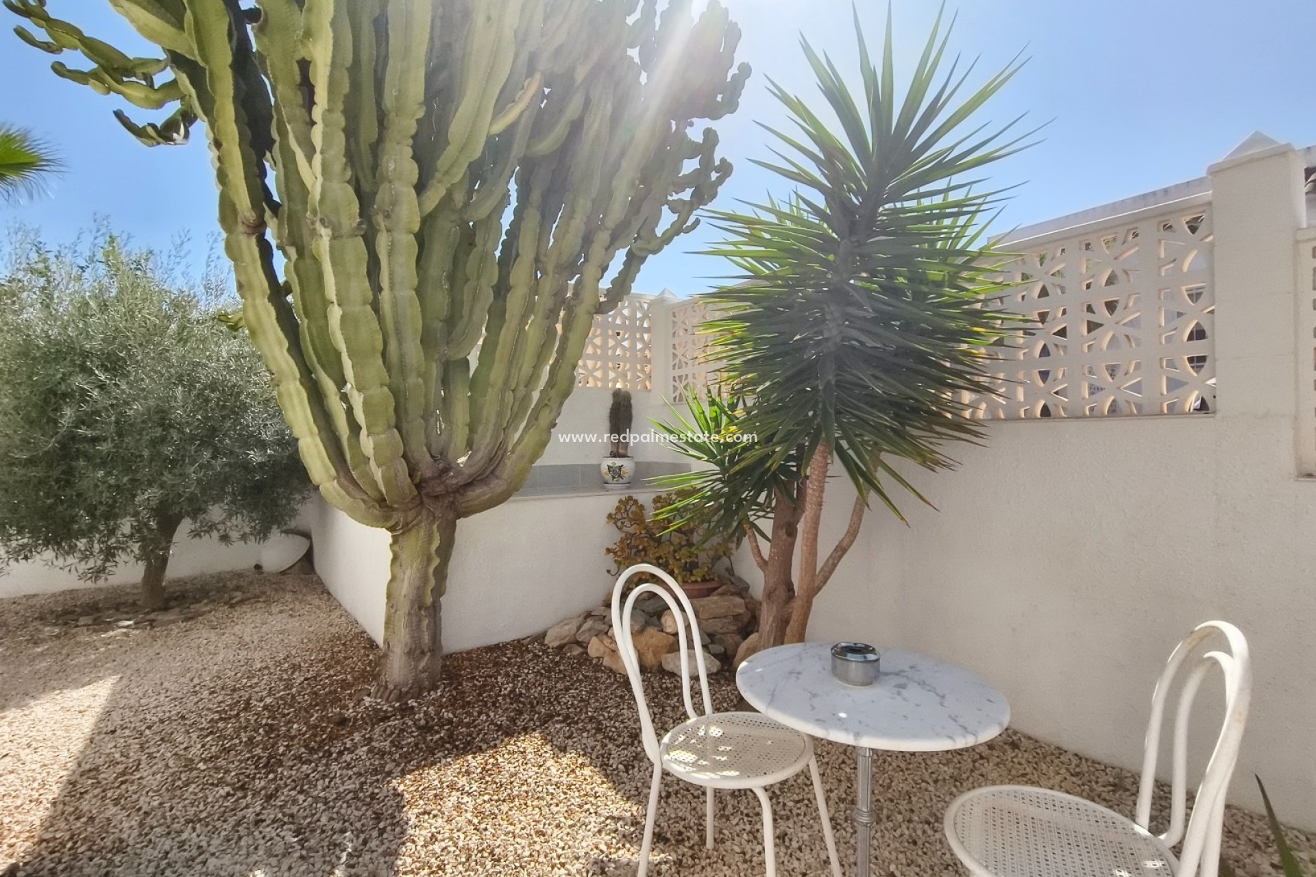 Återförsäljning - Villa -
San Miguel de Salinas - Villamartín