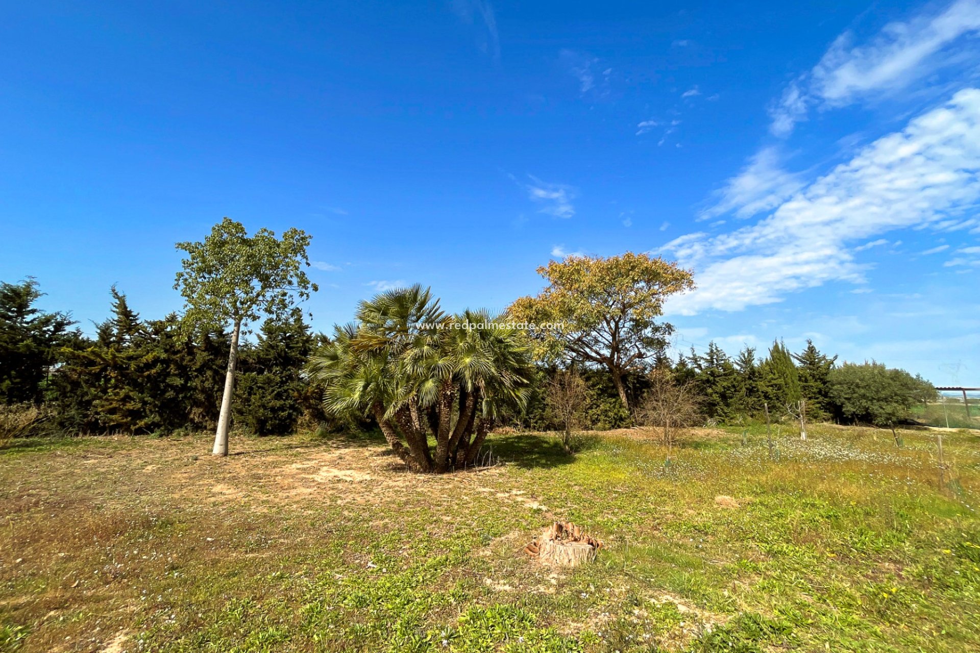 Återförsäljning - Villa -
Torre Pacheco - Inland