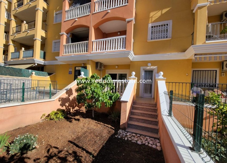 Återförsäljning - Villa -
Torrevieja - Aguas Nueva