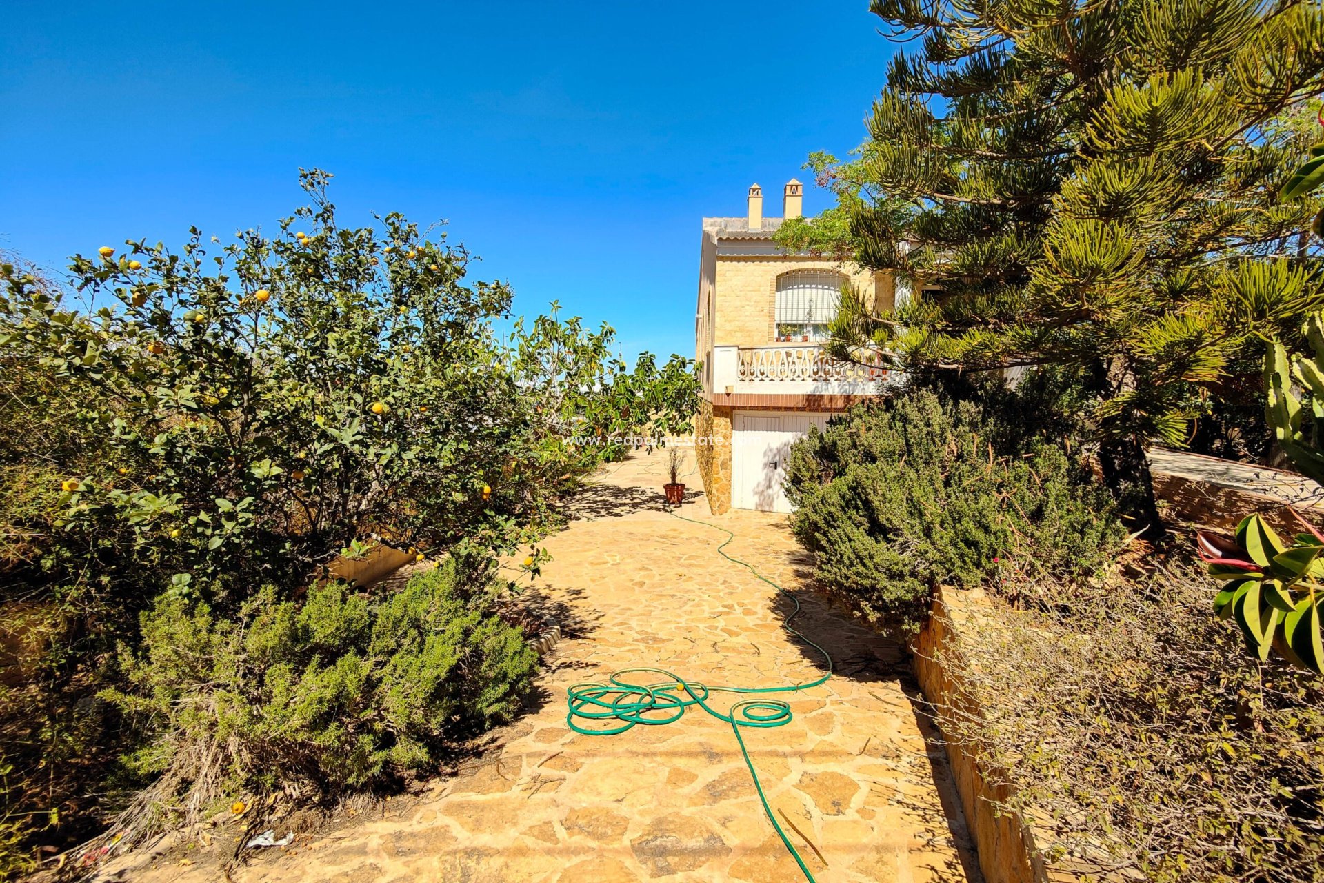 Återförsäljning - Villa -
Torrevieja - Costa Blanca