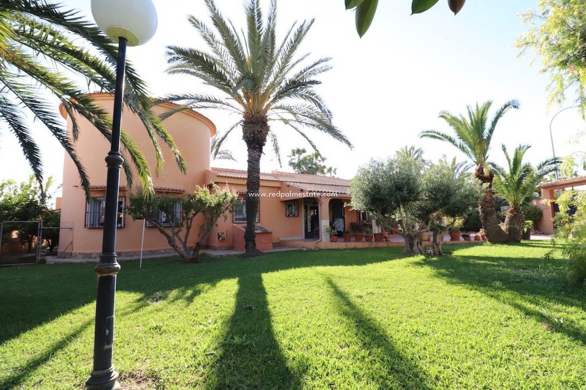 Återförsäljning - Villa -
Torrevieja - Costa Blanca