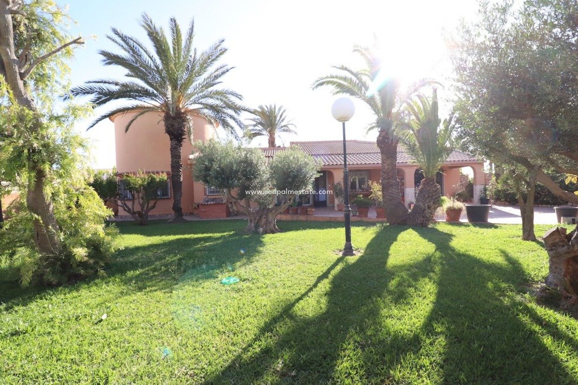 Återförsäljning - Villa -
Torrevieja - Costa Blanca