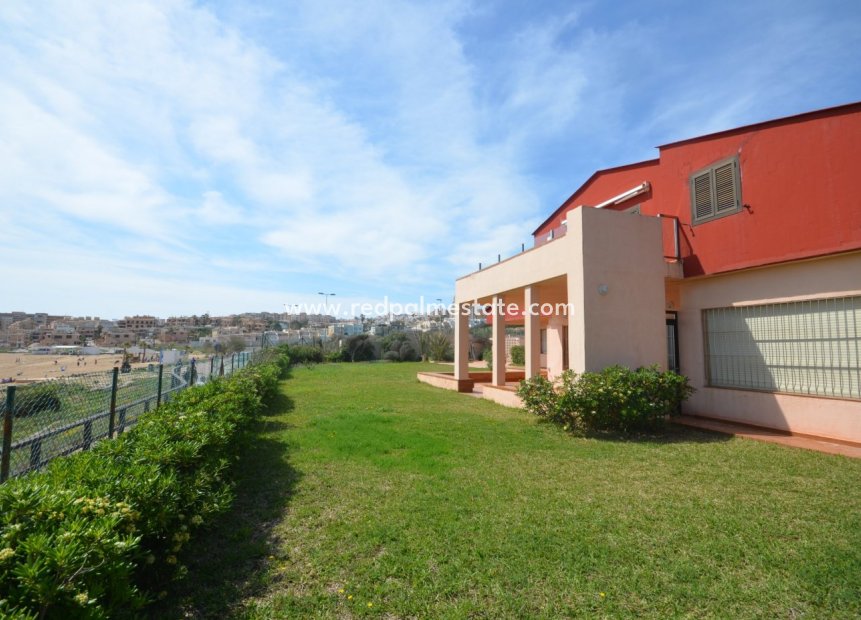 Återförsäljning - Villa -
Torrevieja - La Mata