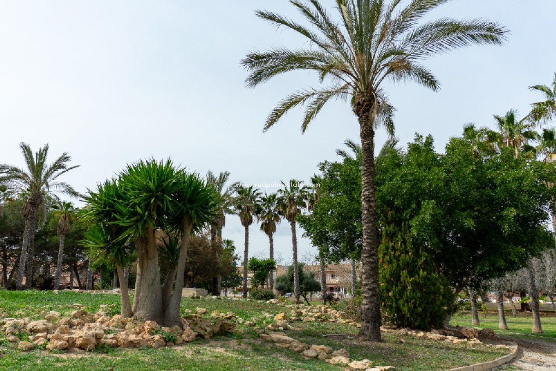 Återförsäljning - Villa -
Torrevieja - Los Altos