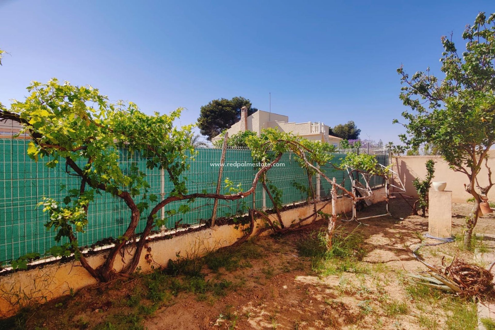 Återförsäljning - Villa -
Torrevieja - Los balcones