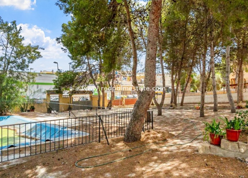 Återförsäljning - Villa -
Torrevieja - Los balcones