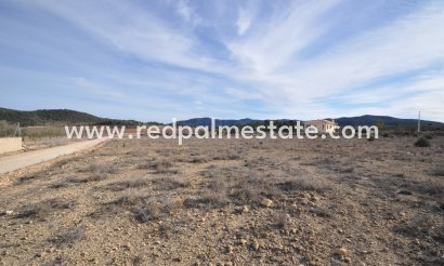 Atterrir - Revente -
            Pinoso - MR2-31554